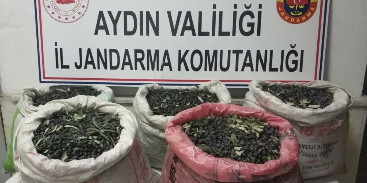 Çaldılar, yağ yapıp sattılar