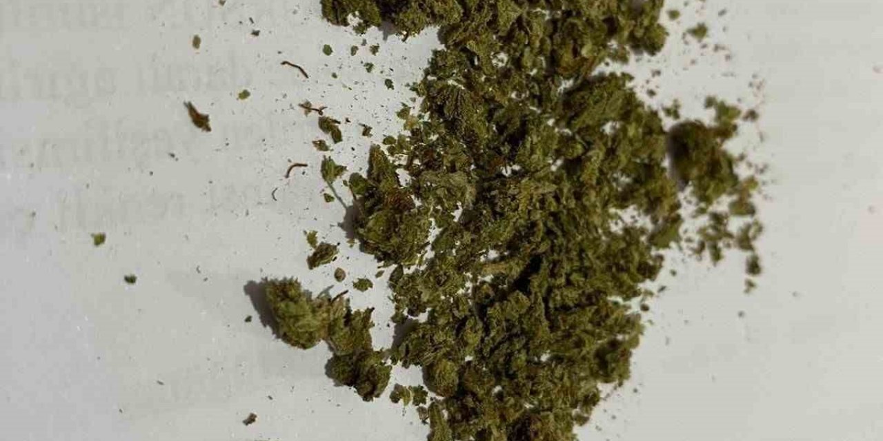 Otobüste uyuşturucu ile yakalandılar