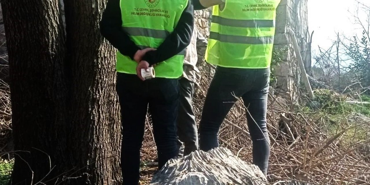Denizli ekipleri hasar tespiti için deprem bölgesinde