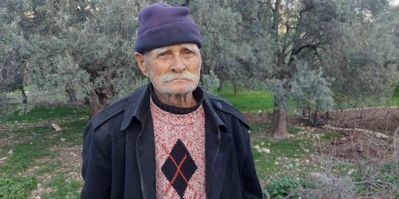 Kendi diktiği zeytin ağaçlarını korumak için başka bahçesine nakletmek istedi, başına gelmeyen kalmadı