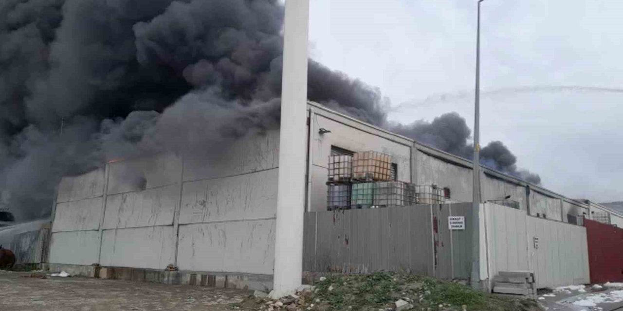 Aliağa’da geri dönüşüm tesisinde yangın