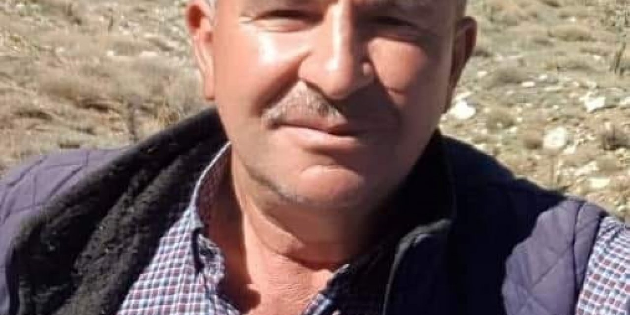 Kestiği ağacın altında can verdi