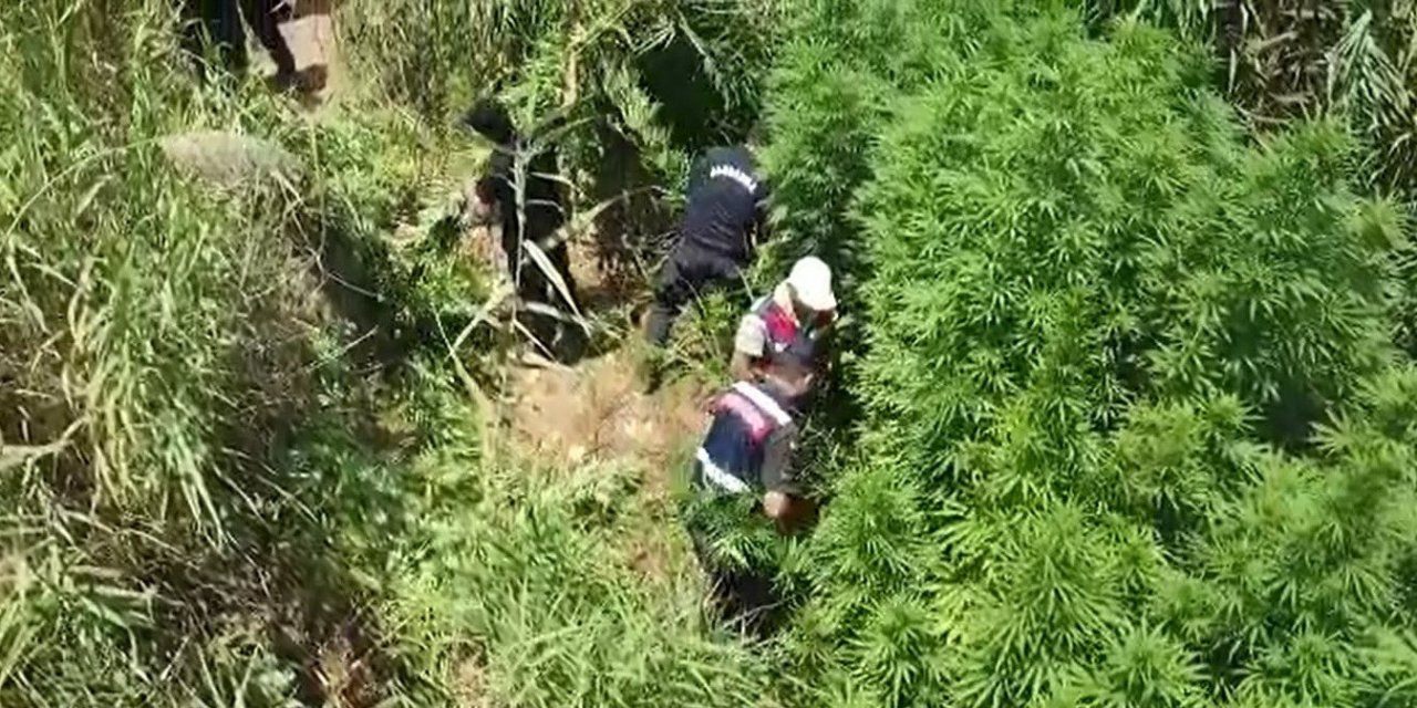 Denizli jandarması suçlulara geçit vermiyor