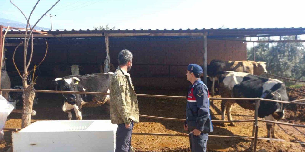 Üreticiler, hırsızlar ve dolandırıcılara karşı bilgilendirildi