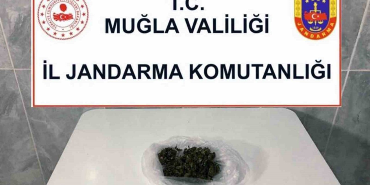 Uyuşturucu taciri narkotik köpek ‘Kaptan’dan kaçamadı