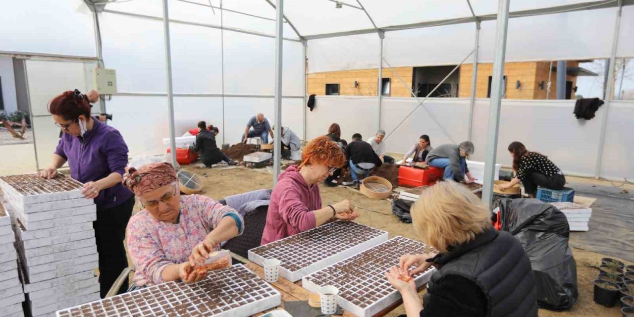 Kadınların ektiği tohumlar, deprem bölgesinde filizlenecek