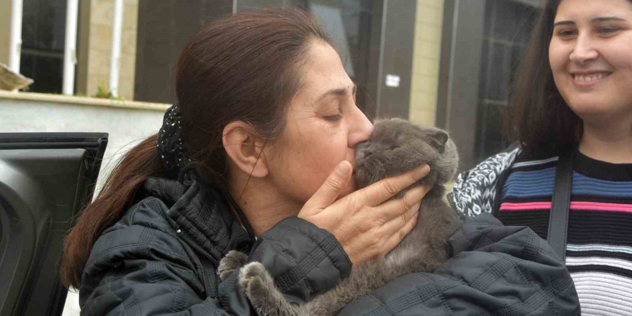 Depremzede aile 28 gün sonra kedisine kavuştu