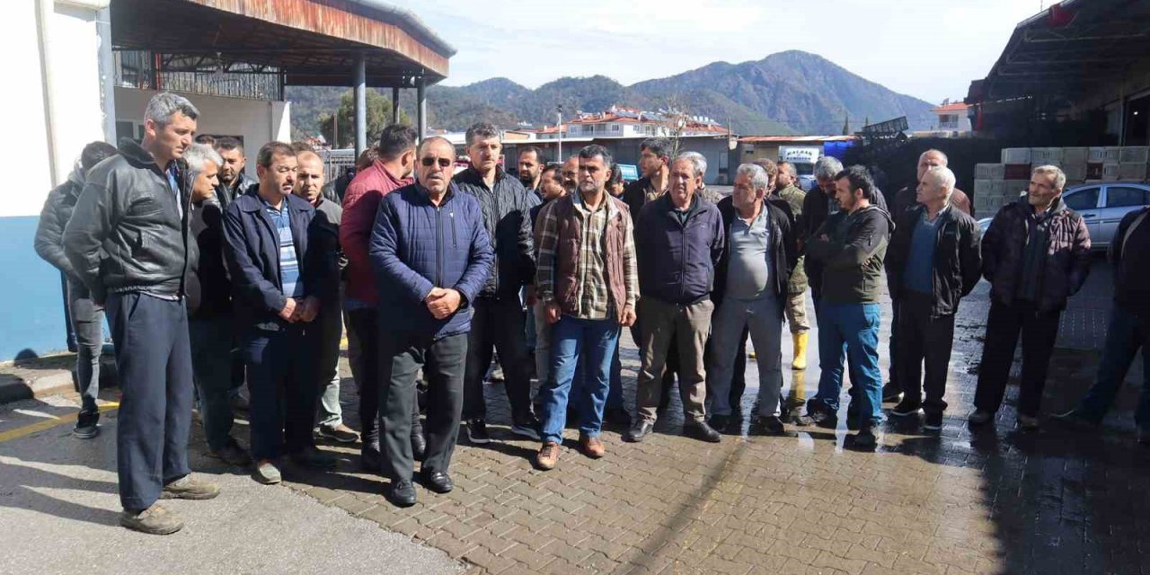 Çiftçiler domateste ihracat kısıtlamasının kalkmasını istiyor