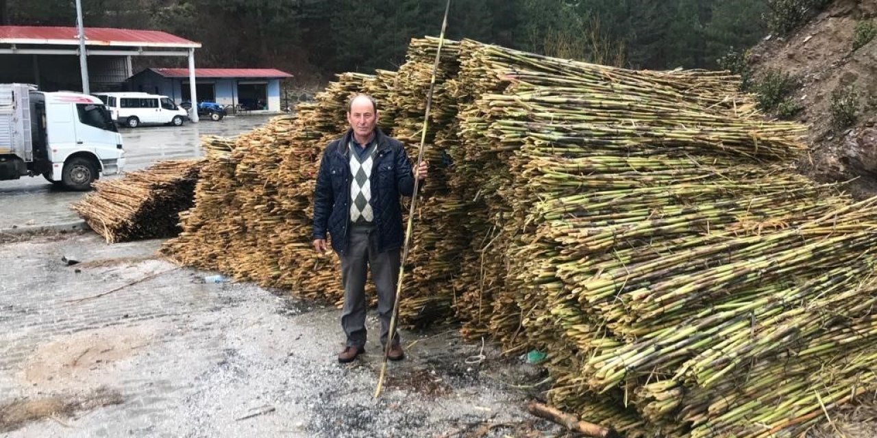 Aydın’daki kargılar Denizli’ye açıldı