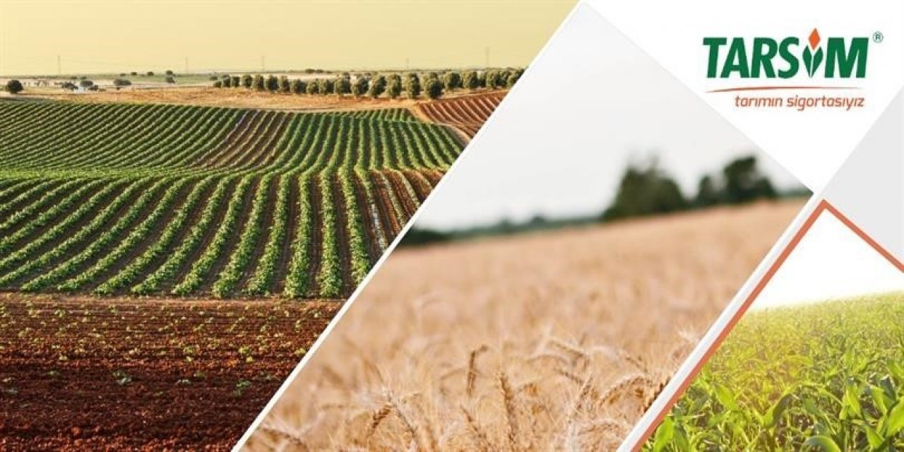 Hasar fazlası desteğine ilişkin Cumhurbaşkanı kararı yayımlandı