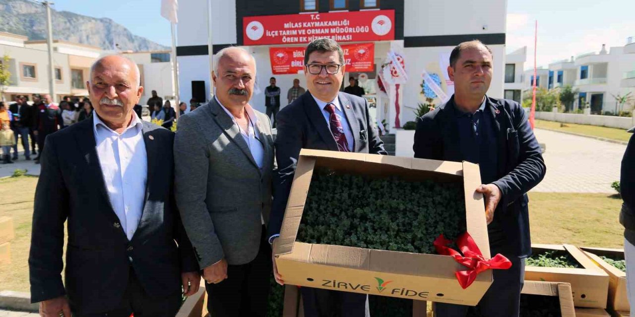 Ören’de üreticilere 100 bin ıtri bitki dağıtıldı