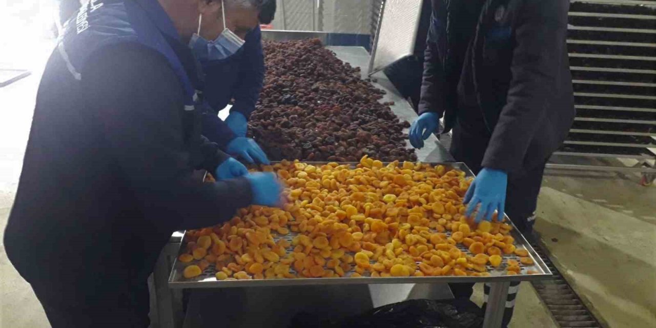 Büyükşehir, Malatya’da üreticilerden satın aldığı kayısıları ücretsiz dağıtacak