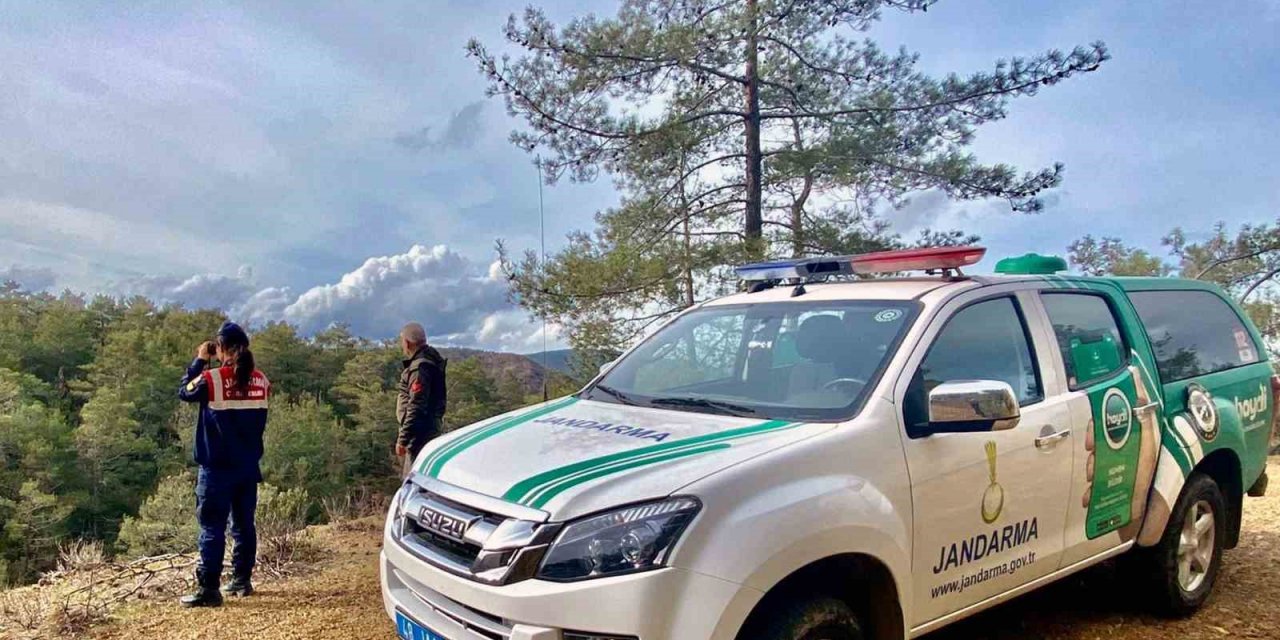 Jandarma çevre timinden yaban keçisi nöbeti