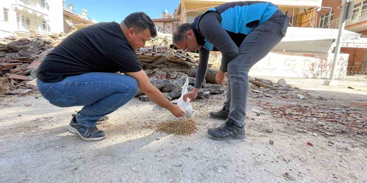 Bodrum, Malatya’nın da yanında