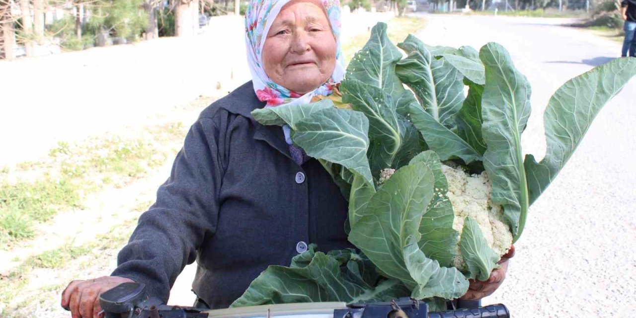 Ayşe nine üreterek genç kalıyor