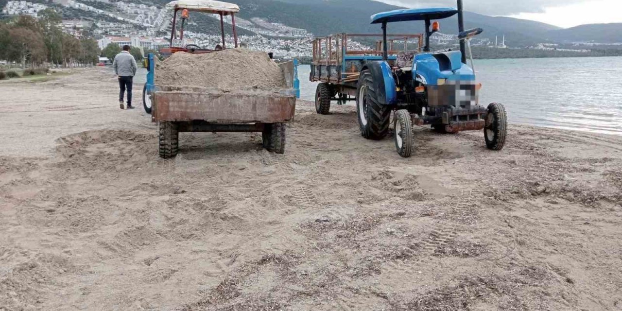 Plaj kumunu traktör römorkuna doldururken yakalandılar