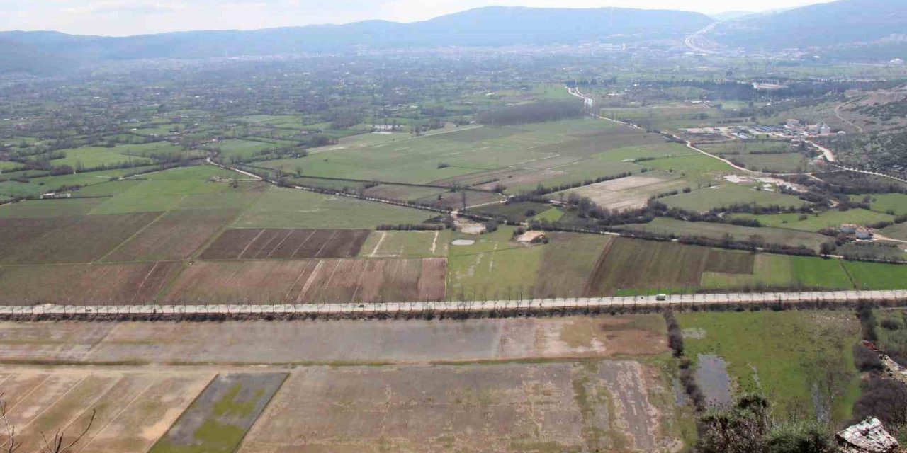 Bir yıl önce, bir yıl sonra