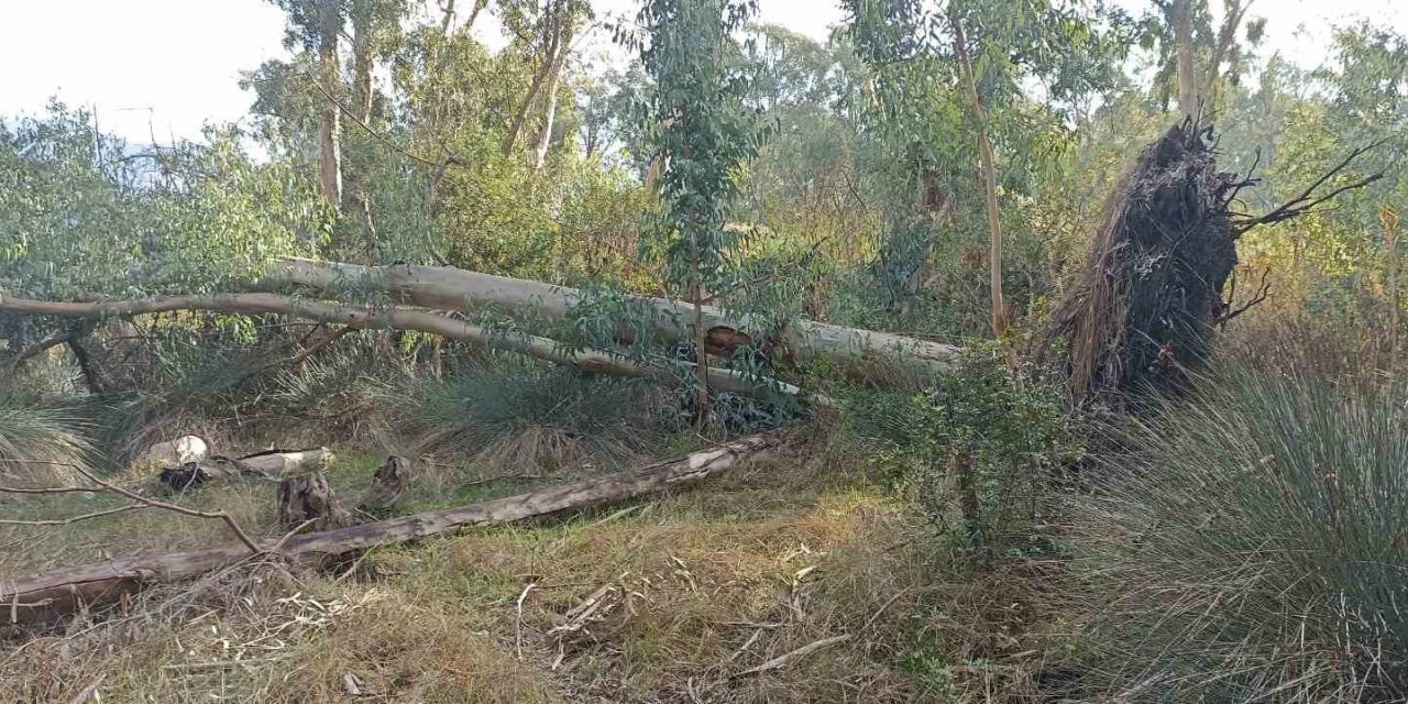 Marmaris Belediyesi’nden “Hisarönü Piknik Alanı projesi” açıklaması