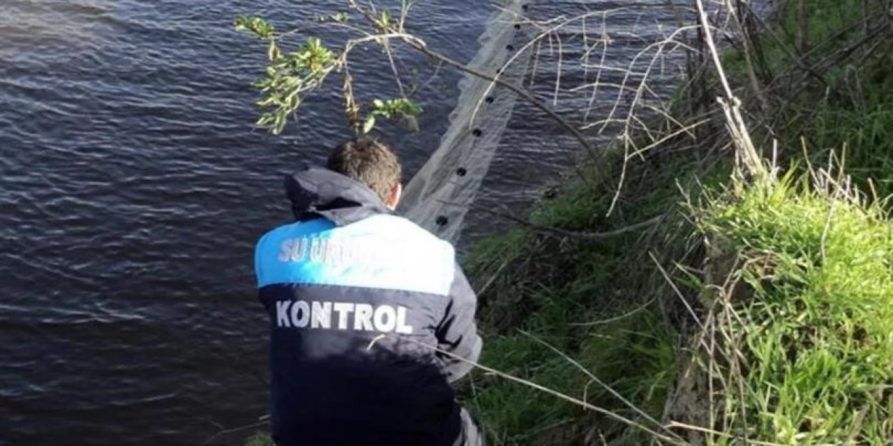 İç sularda sazangiller ve yayın balığı yasağı başladı