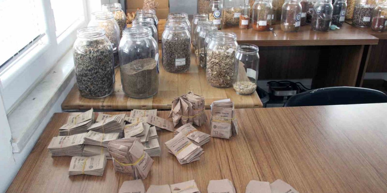 Türkiye’nin ata tohum merkezi