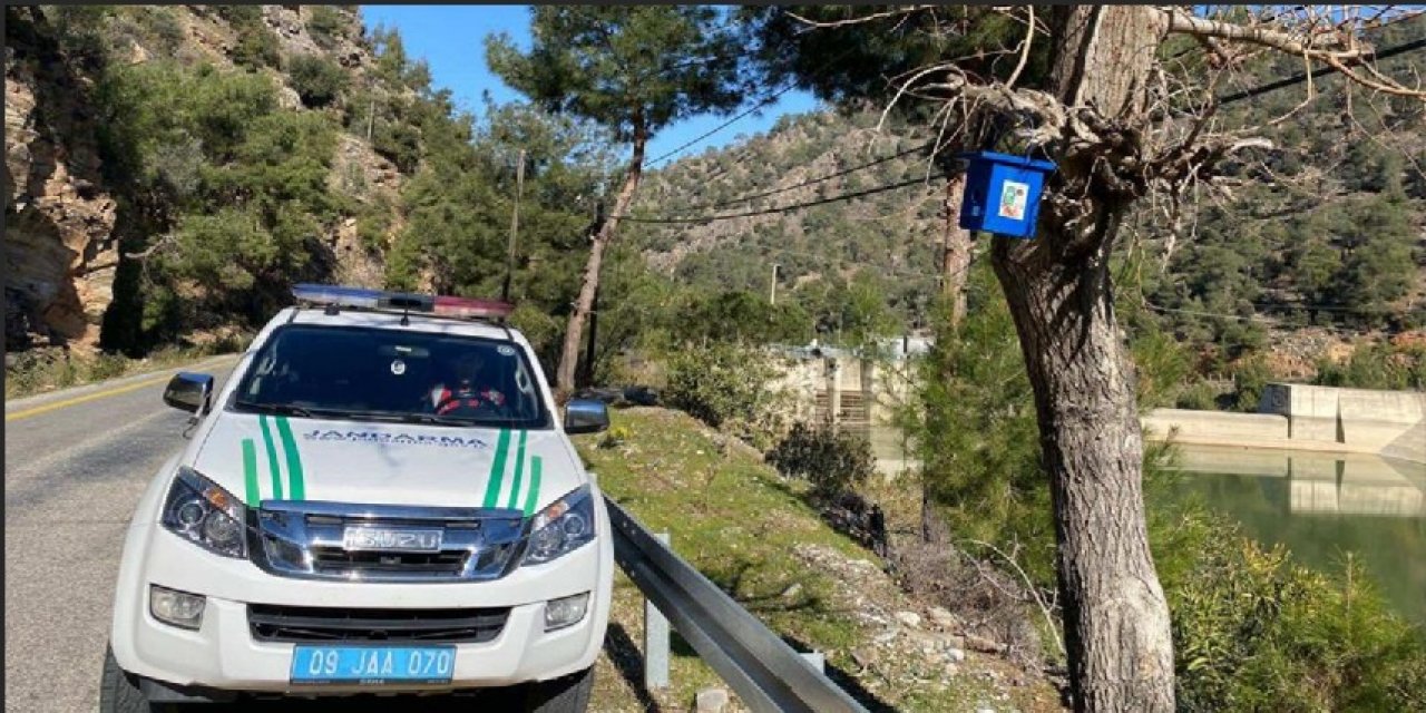 Jandarmadan ormandaki kuşlara yuva