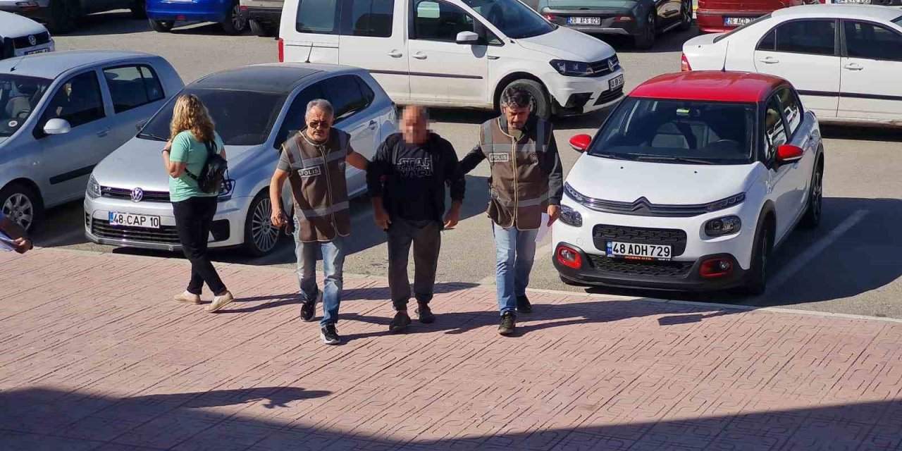 Bodrum’da köpeklerin zehirlenmesi ile ilgili davada mahkemeden durdurma kararı