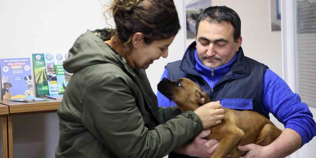 Depremzede aile ile depremzede köpeğin buluşma anı