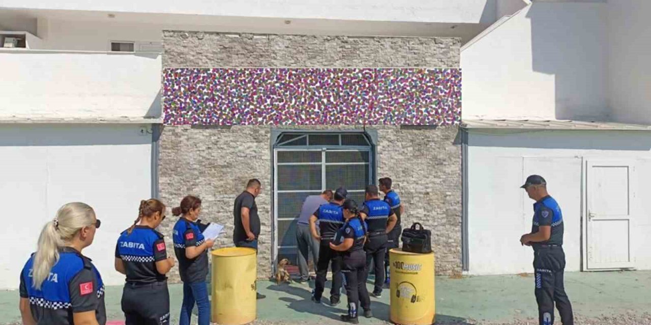 Zehra Bayır cinayeti dosyası Bodrum Ağır Ceza Mahkemesine gönderildi