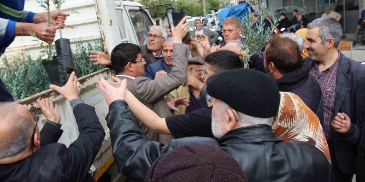 Cumhuriyet’in 100. yılında doğaya 100 zeytin fidanı armağan edildi