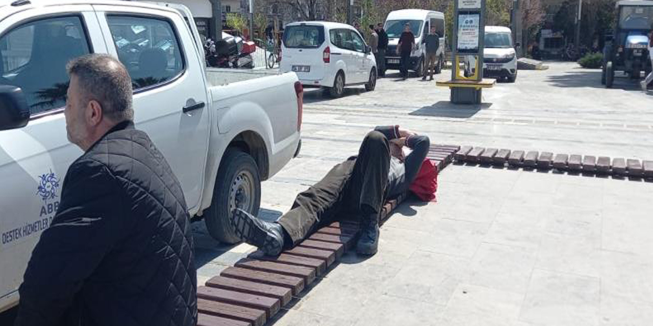 Böyle uyku keyfi görülmedi, ortalık karıştı uyku keyfini bozmadı