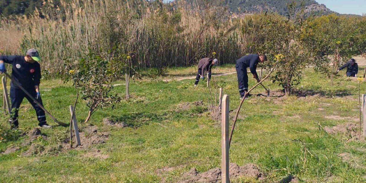 Ortaca’da çevre temizlik ve düzenlemesi devam ediyor