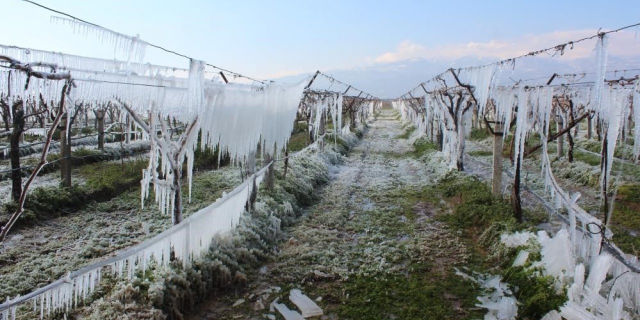 Manisa’ya kuvvetli yağış, fırtına ve don uyarısı