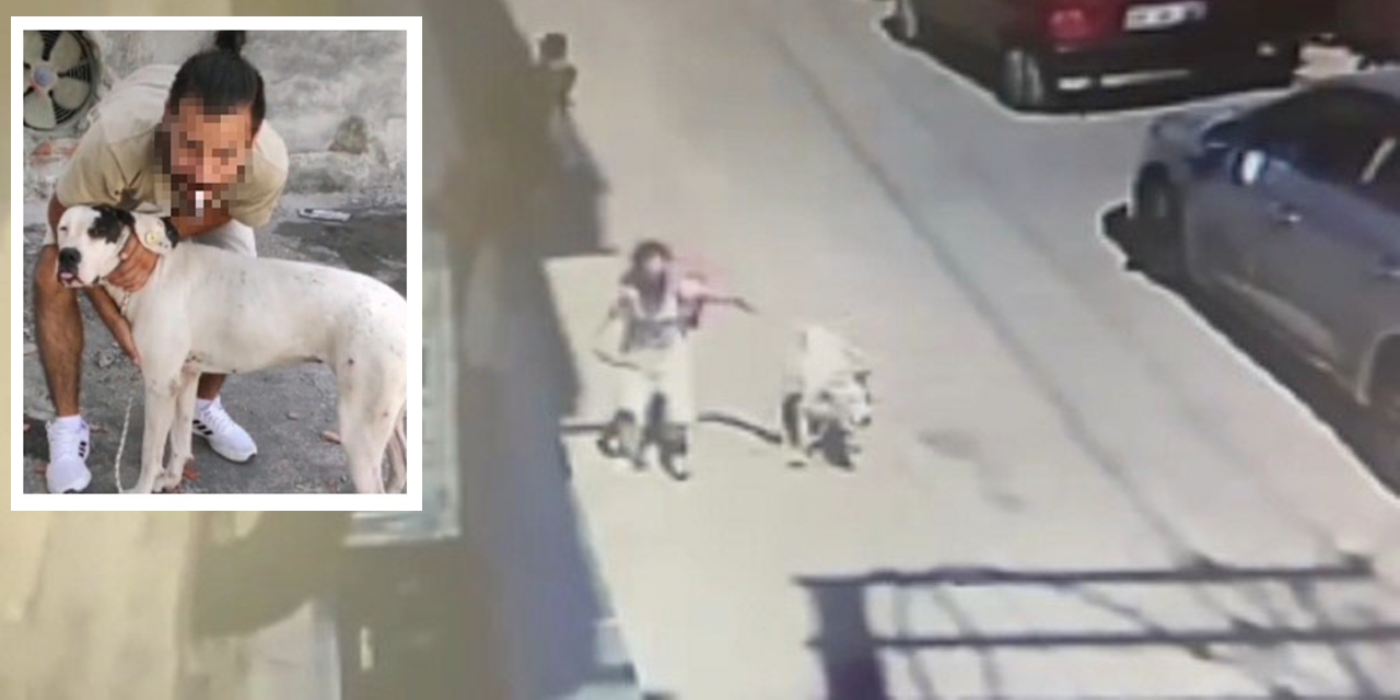 Köpeğin sahibine hapis talebi