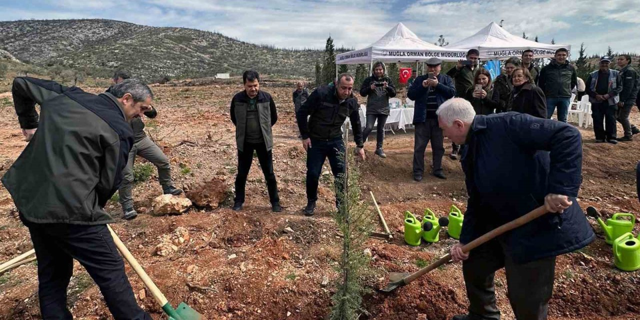 Emekli Orman Mühendisine “Vefa Ormanı’