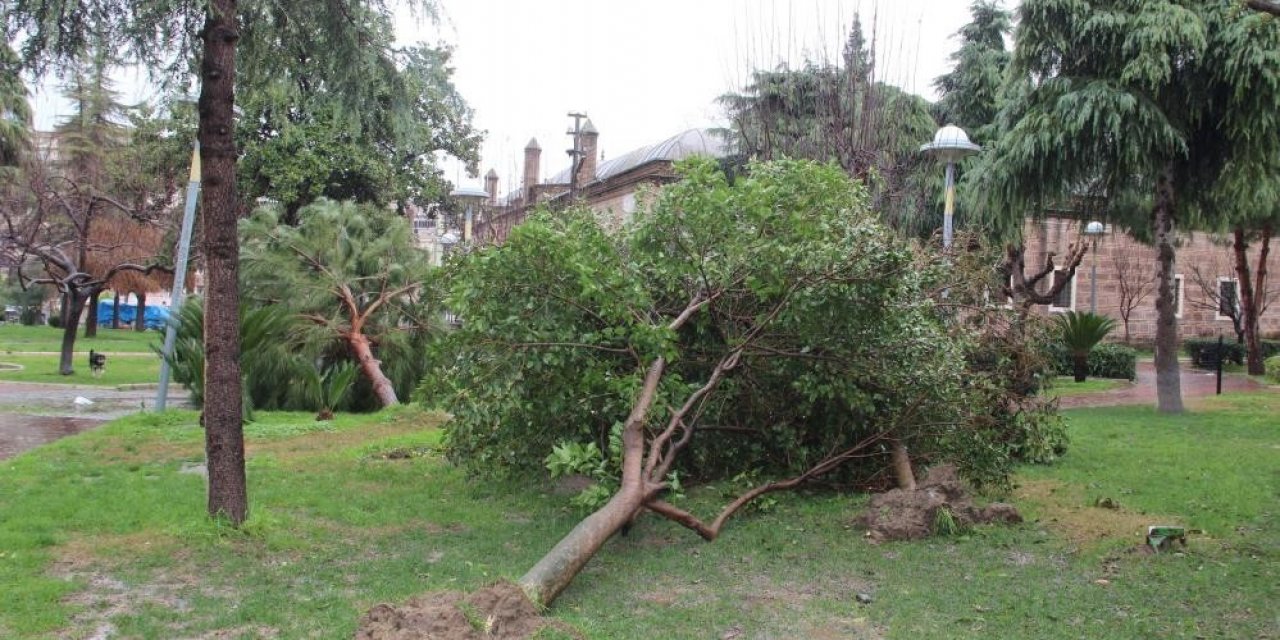 Manisa’ya kuvvetli rüzgar ve fırtına uyarısı