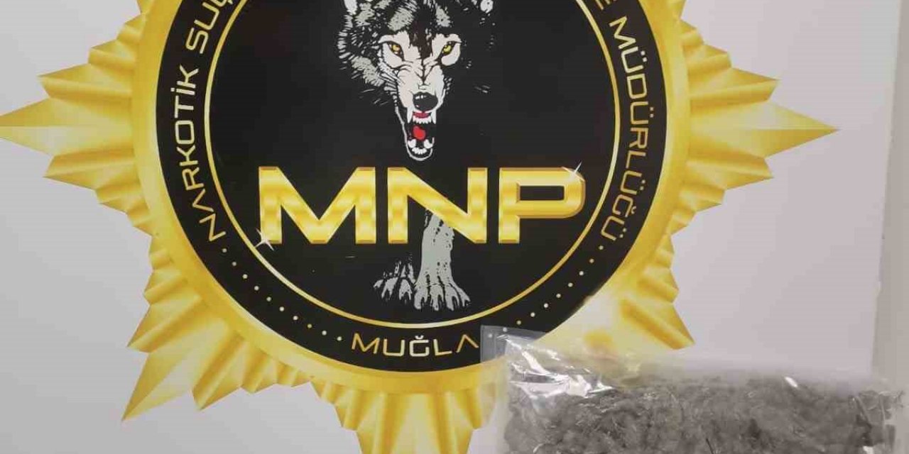 Muğla’da durdurulan takside 1 kilo skunk ele geçirildi
