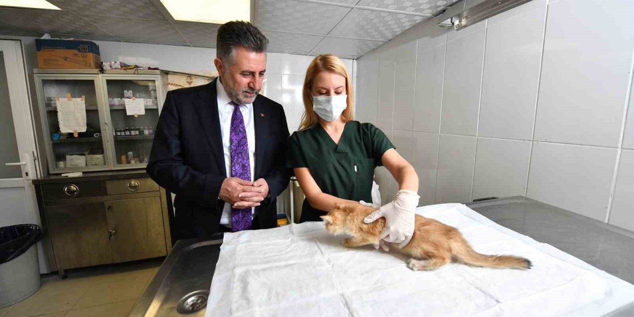 Bayraklı’daki can dostlara özel klinik