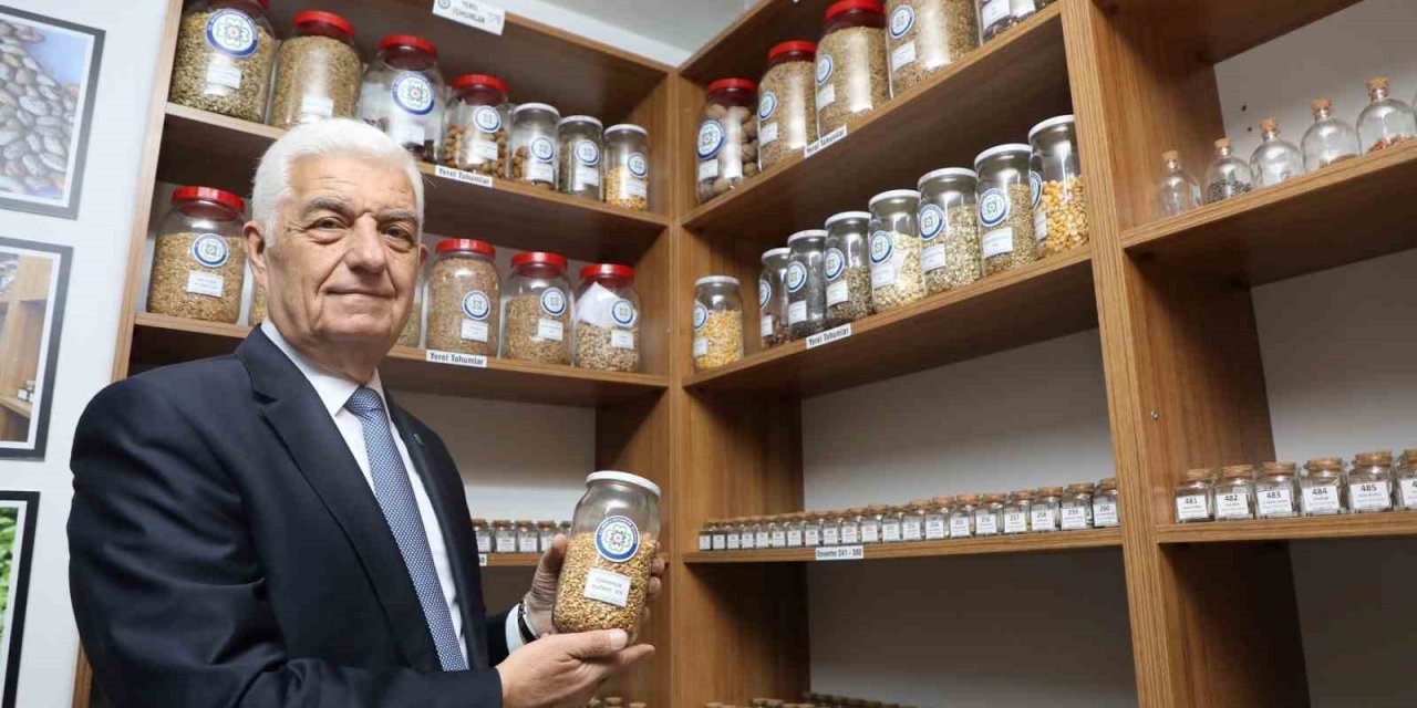 18 milyon ata tohumu dağıtıldı