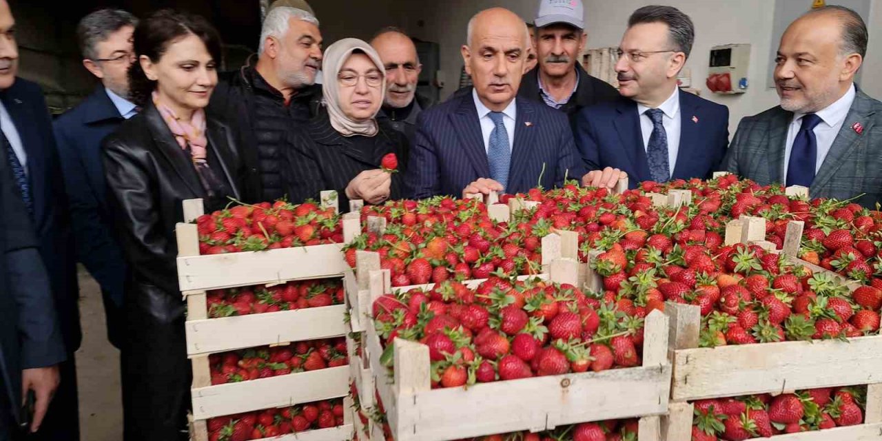Tarım ve Orman Bakanı Kirişci: "Örtü altı sera alanı 811 bin dekara çıktı"