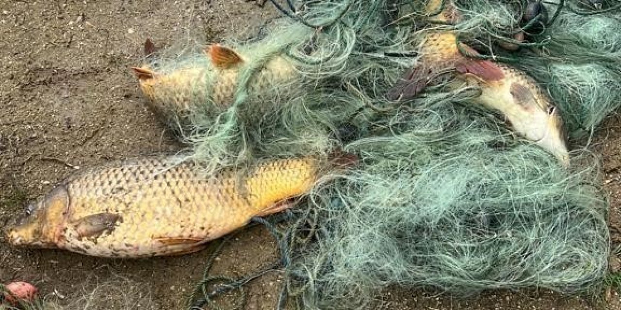 Kaçak avcıların baraja bıraktığı bin metre ağ imha edildi