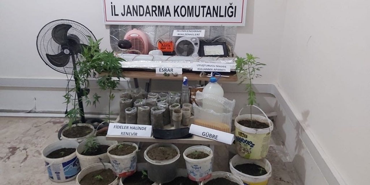 Saruhanlı’da saksıda uyuşturucu yetiştiren kişi yakalandı