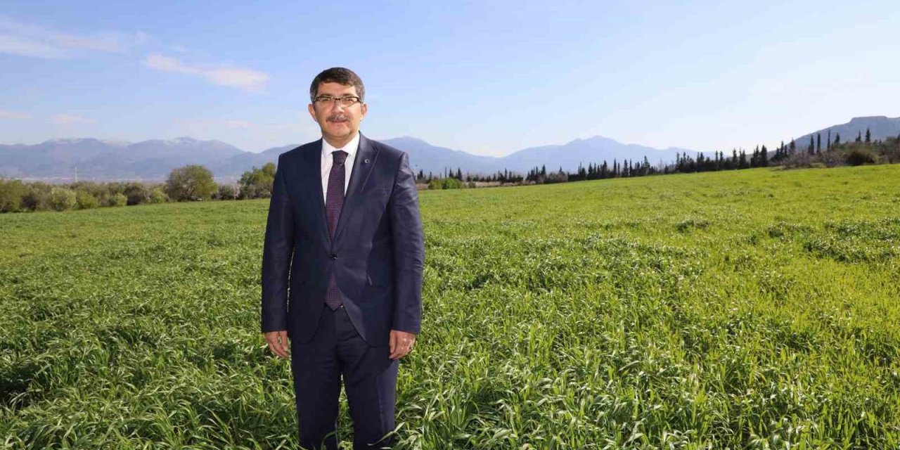 Belediyenin buğdayları ihtiyaç sahiplerine un olacak