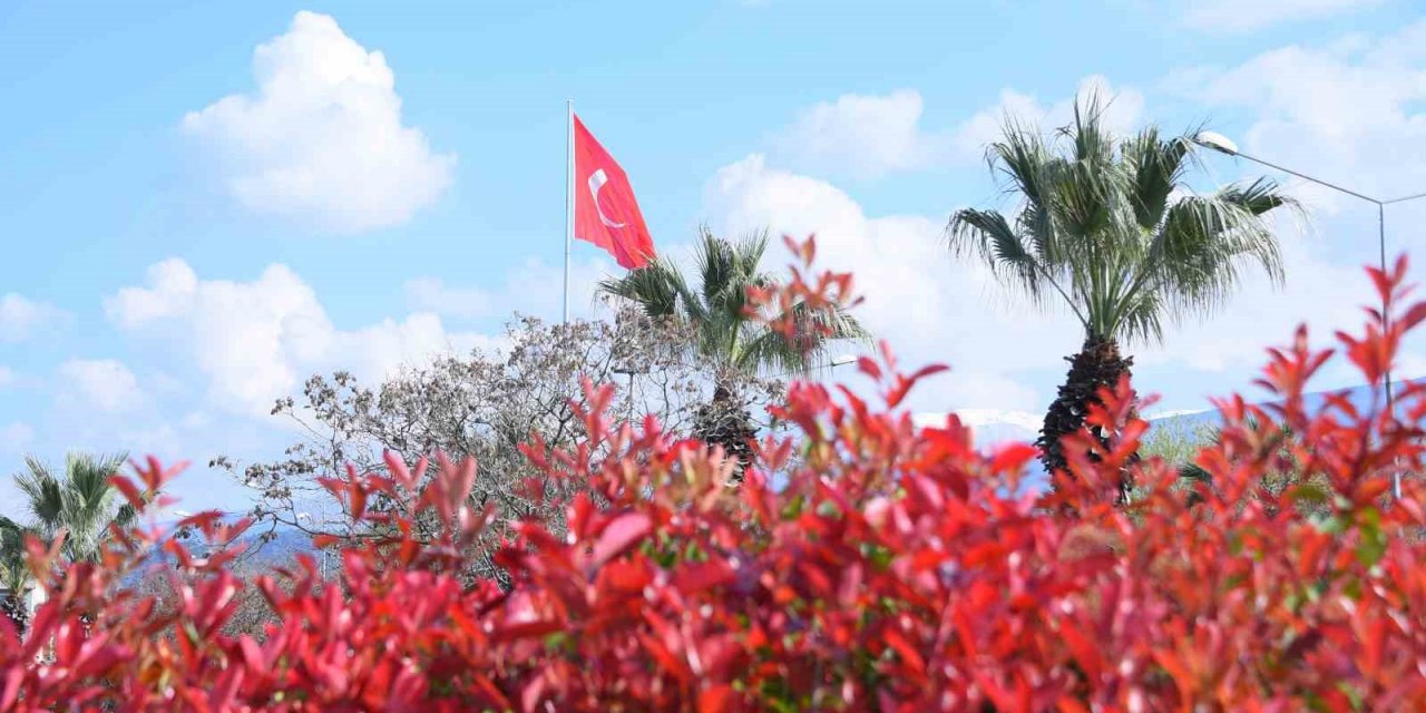 Salihli’de çiçekler rengarenk görüntüleriyle çevreye güzellik katıyor