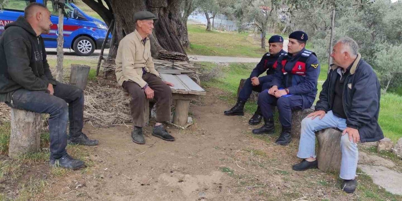 Jandarmadan yaşlı çınarlara saygı