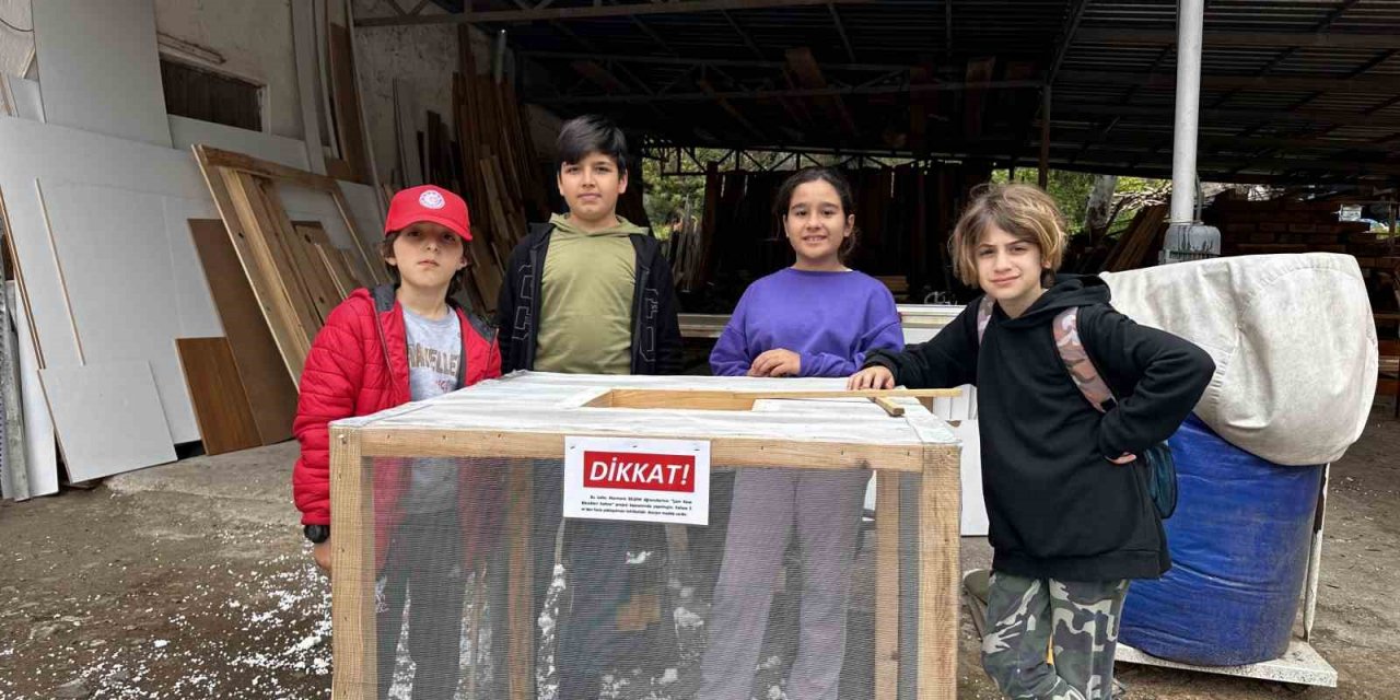 Öğrencilerden çam kese böceği zararlısına kafesli önlem