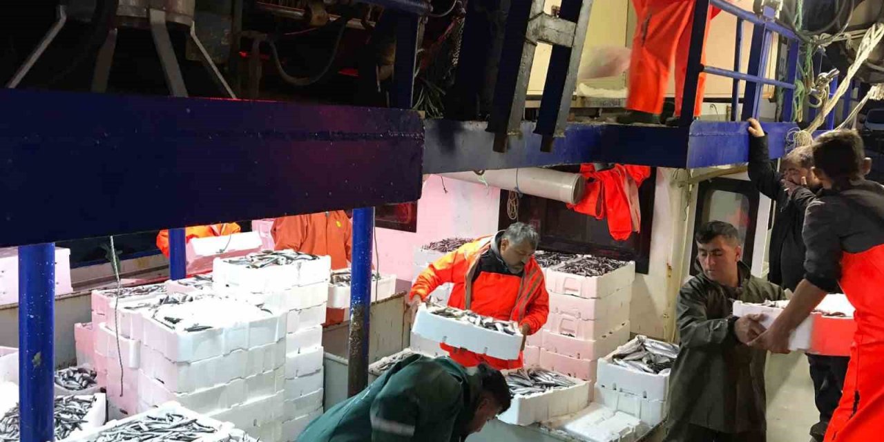 Gırgır teknelerinde balık boyu denetimi