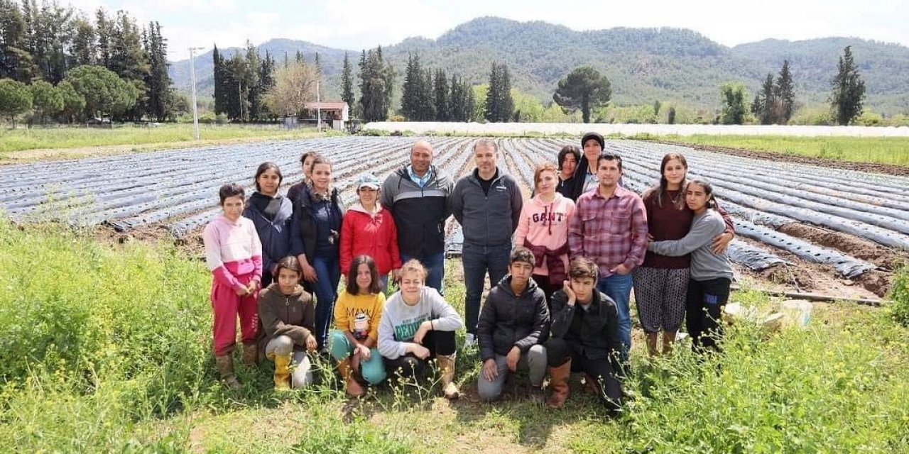 Köyceğiz’de öğrenciler çilek yetiştiriciliğine başladı