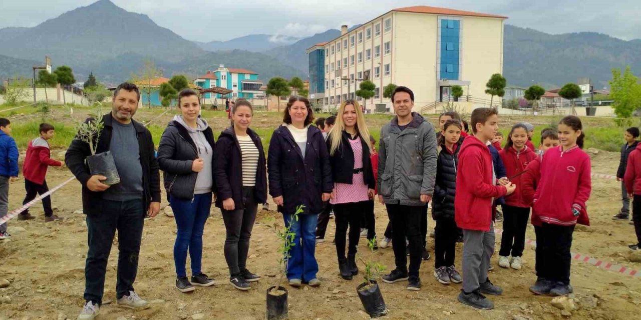 Buharkent Zafer Ortaokulu bahçesine 70 adet zeytin fidanı dikildi