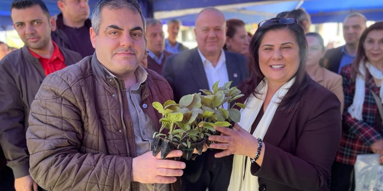 Başkan Çerçioğlu Nazilli’de fide dağıttı