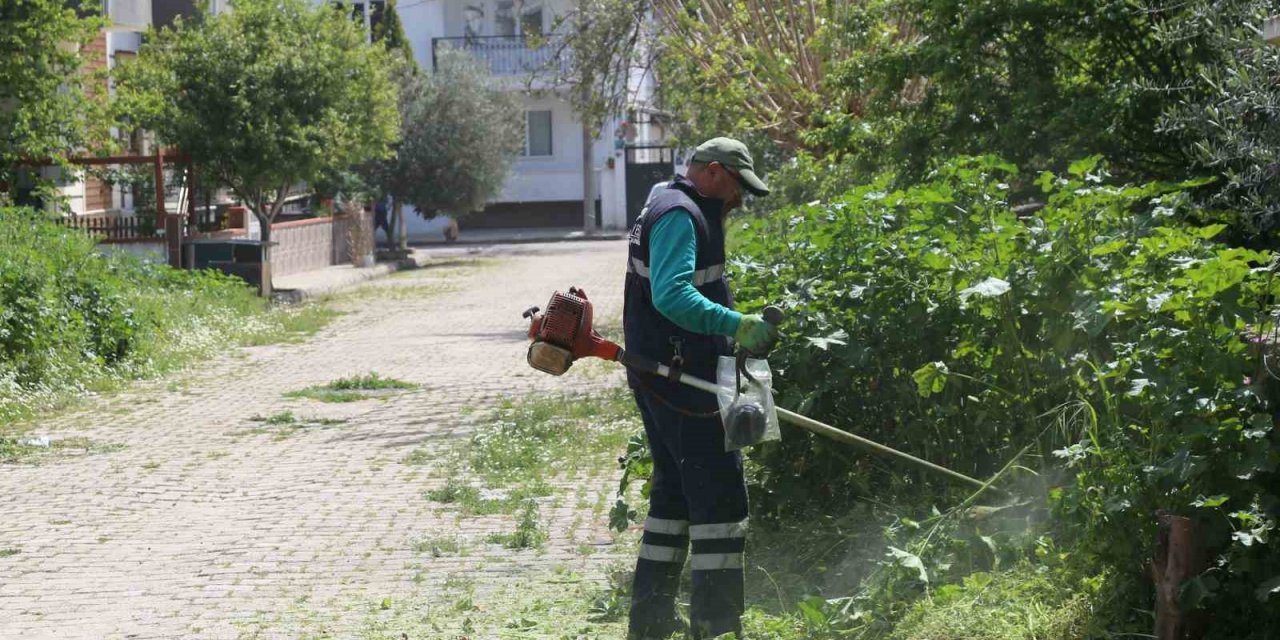 Efeler’in ekiplerinden bahar temizliği